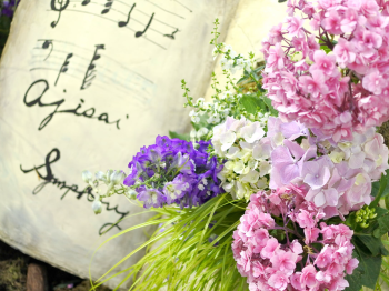 あんだんて音楽教室